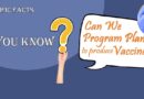 program plants to produce vaccines