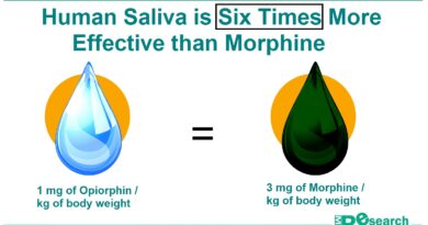 human saliva and morphine